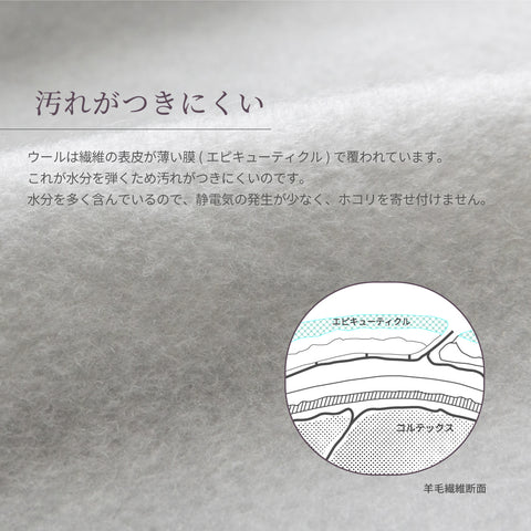 ieoiea. 日本製 洗える ウールボア敷き毛布